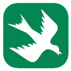 rain-bird-update